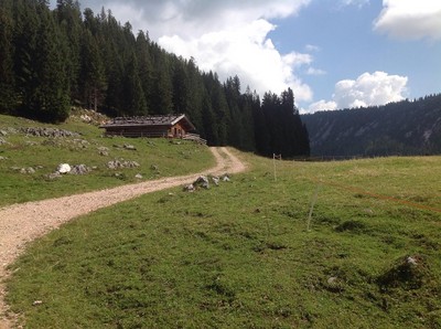 Die Moosenalm in der Gemeinde Scheizlreuth/ Landkreis Berchtesgadener Land