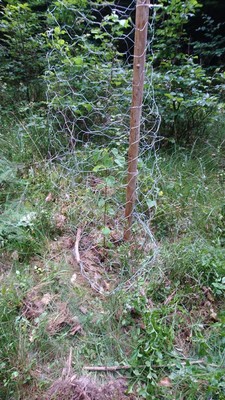 Siegerfoto unseres Wettbewerbs
