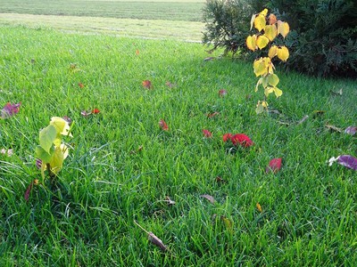 Siegerfoto unseres Wettbewerbs